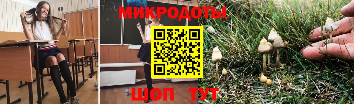 Галлюциногенные грибы Psilocybe  Вход с VPN  Абинск 