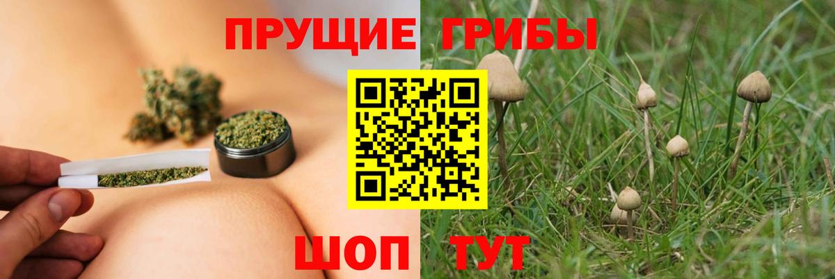 Галлюциногенные грибы Magic Shrooms Абинск